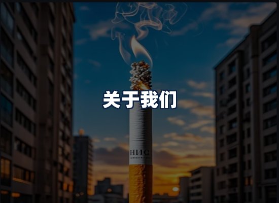 关于我们